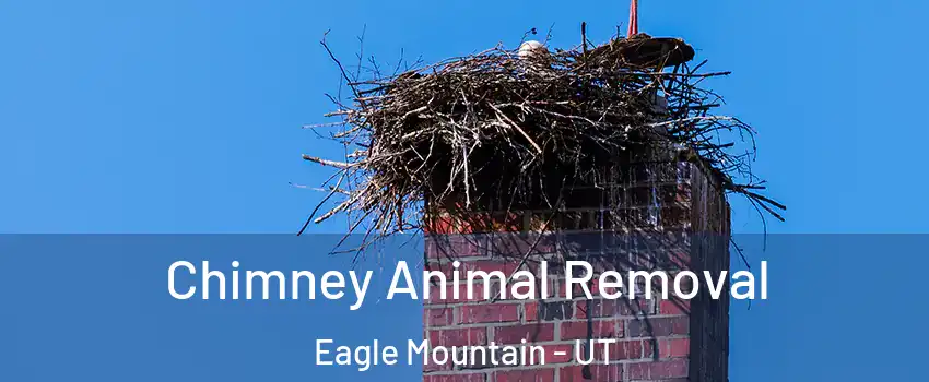  Chimney Animal Removal Eagle Mountain - UT
