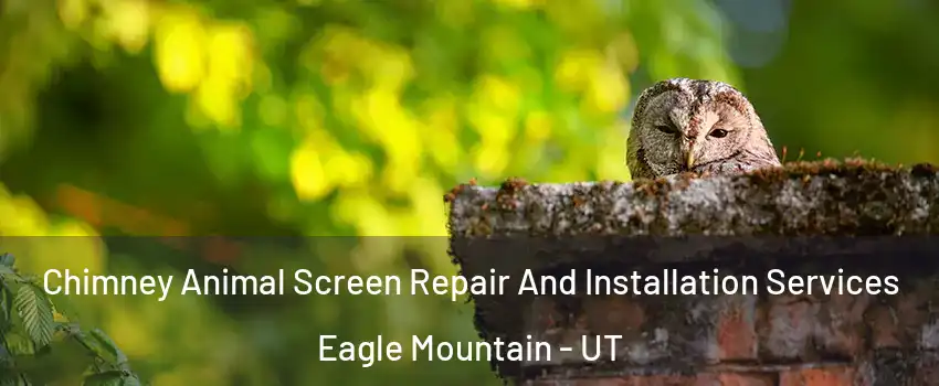  Chimney Animal Screen Repair And Installation Services Eagle Mountain - UT