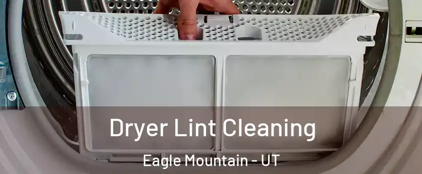  Dryer Lint Cleaning Eagle Mountain - UT