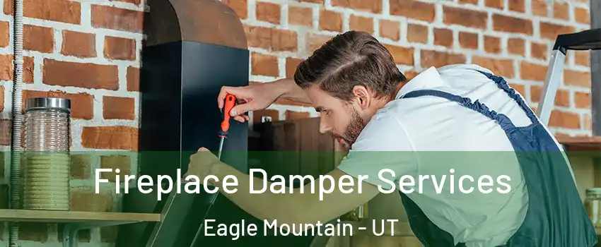  Fireplace Damper Services Eagle Mountain - UT