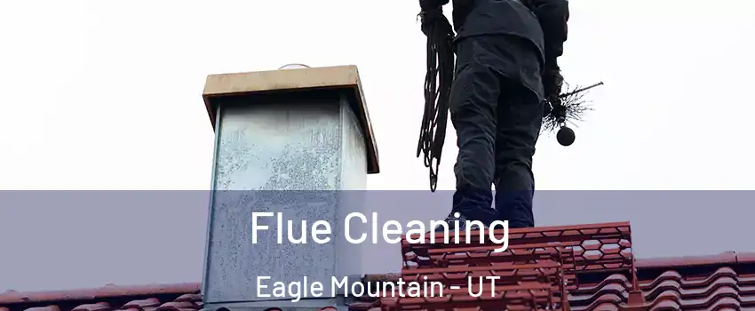  Flue Cleaning Eagle Mountain - UT