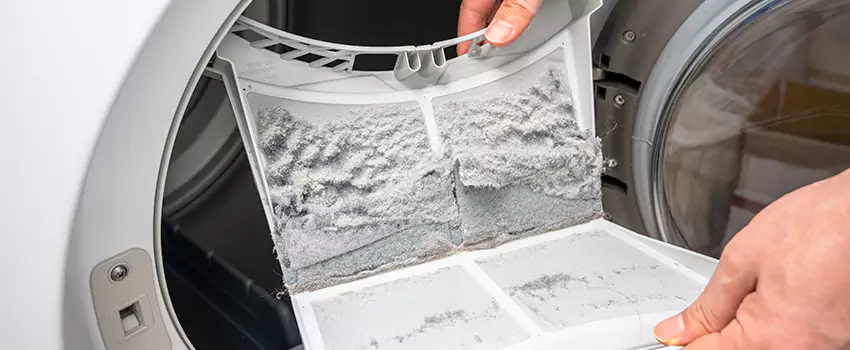 Best Dryer Lint Removal Company in Eagle Mountain, Utah