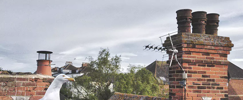 Chimney Cleaning And Restoration in Eagle Mountain, Utah