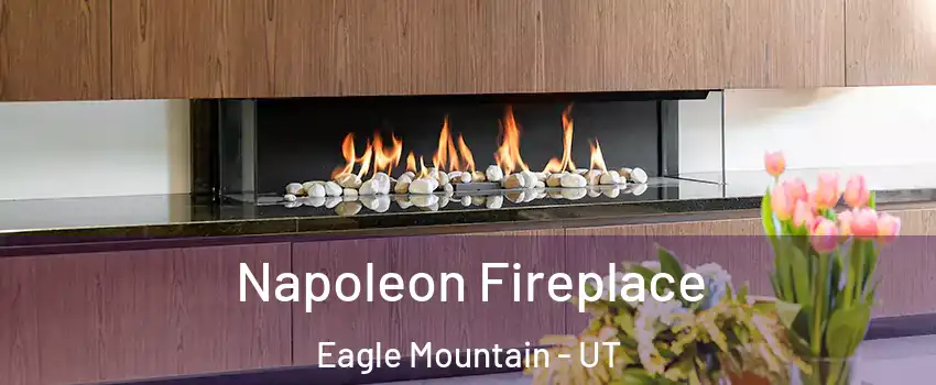  Napoleon Fireplace Eagle Mountain - UT